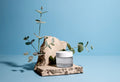 Lorem ipsum dolor sit amet consectetur adipisicing elit